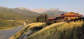 at Princess-owned wilderness lodges. You can cruise first or start with a land tour.