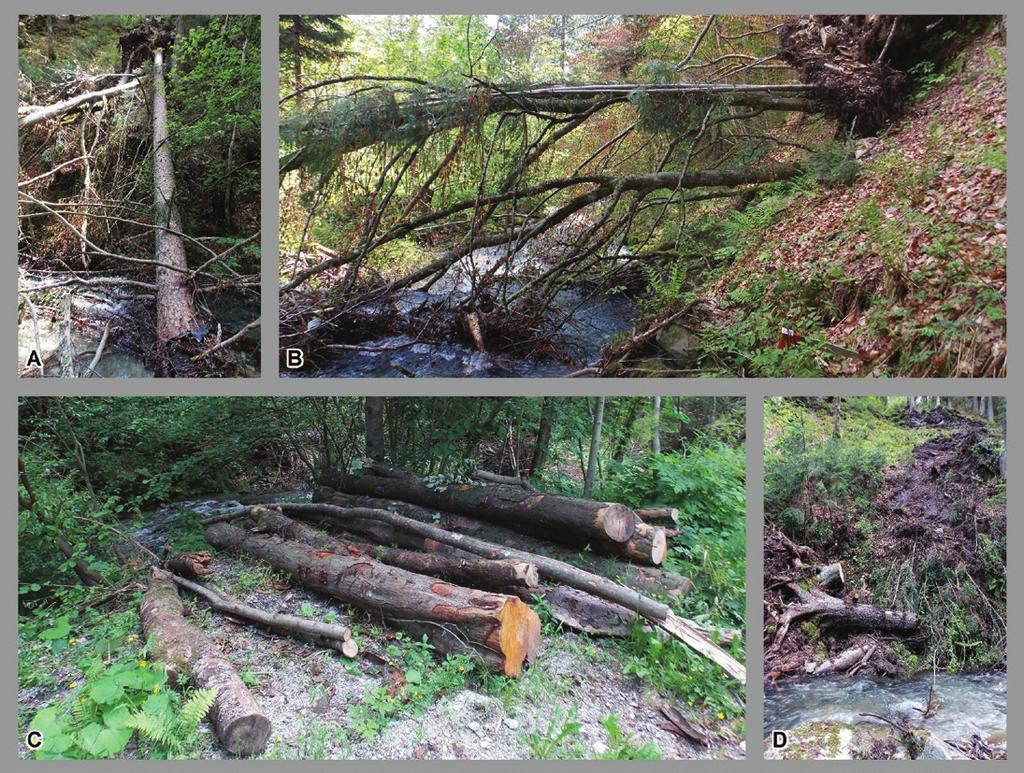 Kobal, M., Lampreht, T.: Leseno plavje v zgornjem toku Meže o problematiki, ki jo leseno plavje predstavlja v hudourniških strugah.