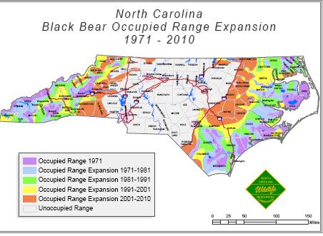 Black Bears in NC 4000 in 1971 to