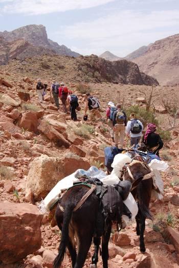 The morning s route takes us around several small hills before we head out across open desert towards Wadi Barwaz, which lies at the foot of the mountains, for lunch.