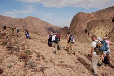 We gradually descend towards Wadi Araba, first crossing hamada and then an area of small sand dunes. The views are awe-inspiring and we gain a true sense of the wonderful desert landscape.