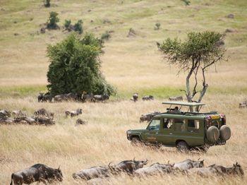 The aim is to provide a comfortable authentic base from which to explore and experience the Masai Mara during the peak of the wildebeest migration.
