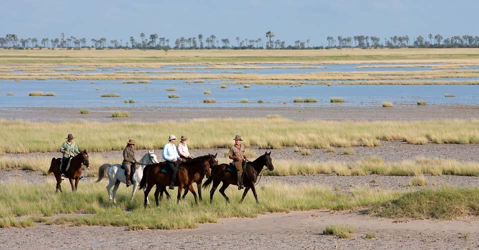 A journey in the truest sense of the word safari A mobile riding safari is usually 5 to 10 nights duration