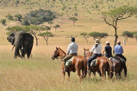 Mobile riding safaris are operated as scheduled departures which individuals or couples can book into.
