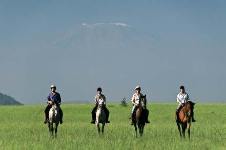 Private riding safaris for a family or group of friends can easily be arranged on request - sometimes for an