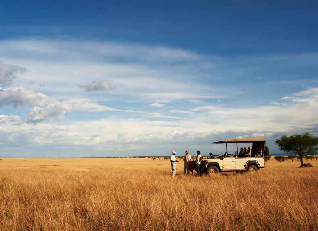 Timeless safari Across grasslands that stretch to distant horizons, you ll be amongst