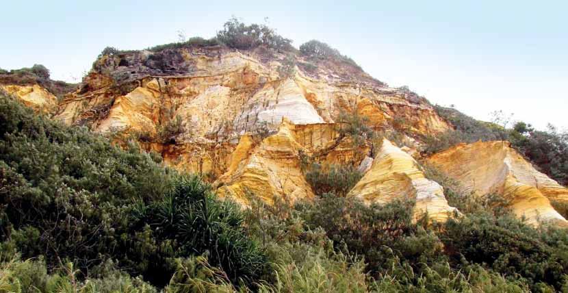Fraser Island s coloured sands cliffs being part of the island s OUV.