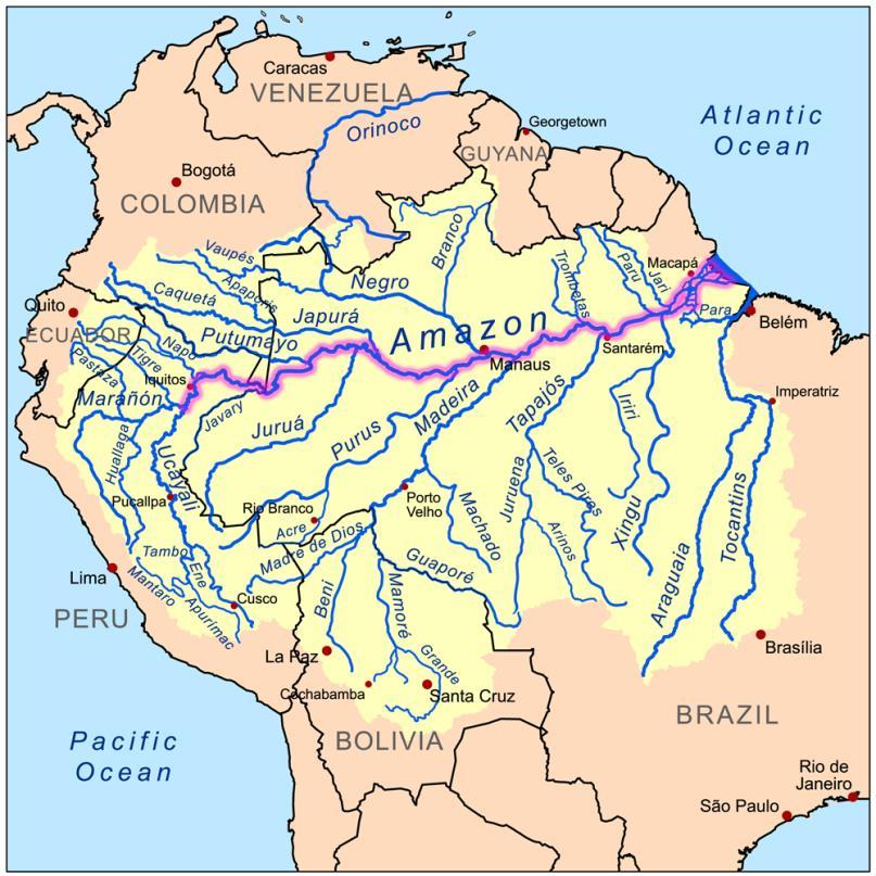 Origin in the Andes and flows