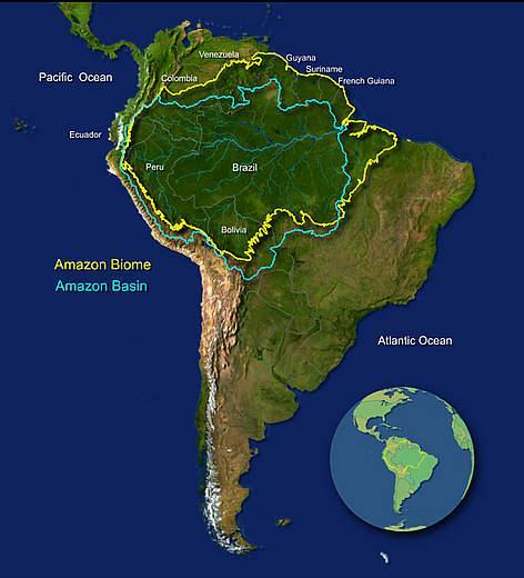 G. Tropical climate zone The Amazon Rainforest Dense rain forest made