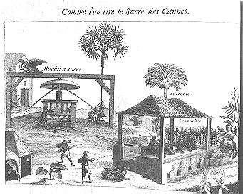 Portuguese Sugar and Slavery Colonial life in Brazil centered on the sugar mill-- or engenho Engenhos combined agricultural and industrial enterprises This