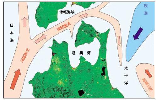 2 Marine environment in Aomori Japan Sea Tugaru Strait Oyashio Cold