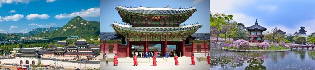 Korea. An 11 day overland tour of South Korea during the popular cherry blossoms period.