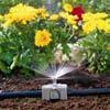 1367-20 SPRAY NOZZLE 180 For covering flower and vegetable beds with