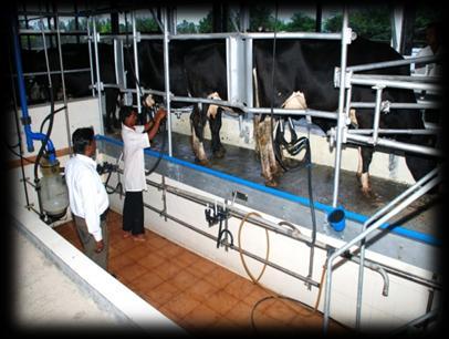 1500/- Training programme includes Dairy farm visits, CD shows, training material, lectures of