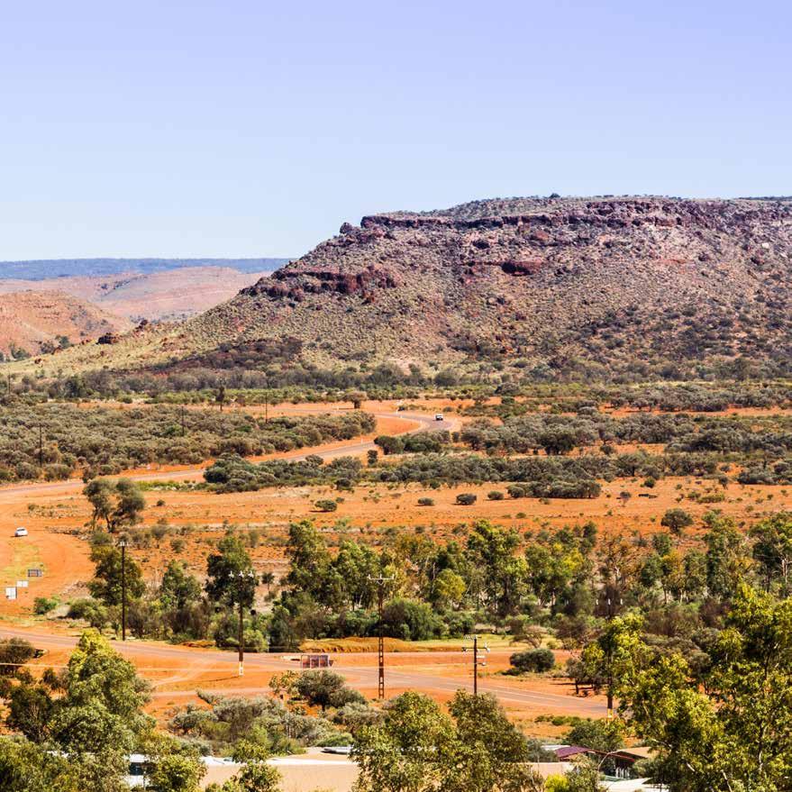 These stories tell how they arrived from all directions, first stopping at Mparntwe, a particularly sacred site in Alice Springs, where they battled with the Irlperenye (green stink bug).
