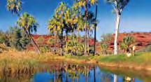 Enjoy an included picnic lunch in Finke gorge National Park.