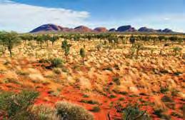 EXTENDED ALICE SPRINGS TOURS AAT Kings Operates: Daily Duration: 2 days $779 Adult $623 Child