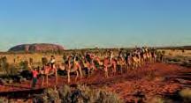 Enjoy nibbles and a complimentary glass of wine as the sun sets over the western horizon and the evening sky brings out the many shades of colour for which Uluru is famous.
