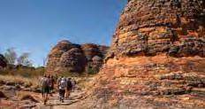 Experts in local culture, history, wildlife, bush tucker and native flora, they offer a genuine insight into the Kimberley region.