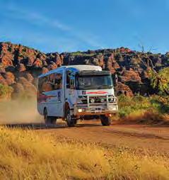 along the Gibb River Rd Admire impressive Wandjina and Bradshaw Rock Art 9 Days El Questro, Gorges & Purnululu From $5,595 per person