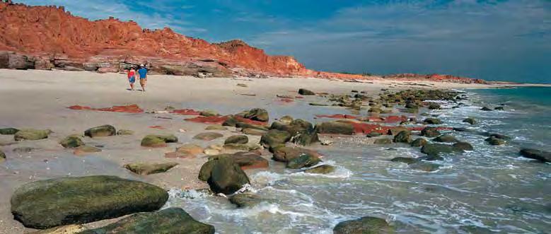 Duration: Full day $269 Adult $169 Child Experience a full day of the Dampier Peninsula with the Giant Tides. Experience the highlights of the pristine Dampier Peninsula.