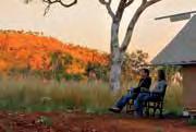 Guesthouse Rooms provide a comfortable retreat and are perfect for couples and families. The safari style Eco Tents, located in a quiet bush setting, will impress those seeking to connect with nature.