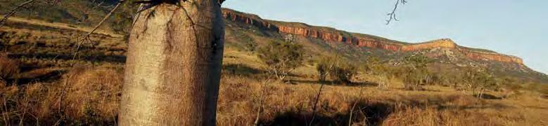 KUNUNURRA HOLIDAY PACKAGES KIMBERLEY At the heart of the East Kimberley region, Kununurra is the gateway to explore this spectacular region.