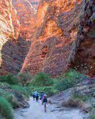 For our latest offers visit... BUNGLE BUNGLE ACCOMMODATION & TOURS The Purnululu National Park is a World Heritage Site in the East Kimberley region of Western Australia.