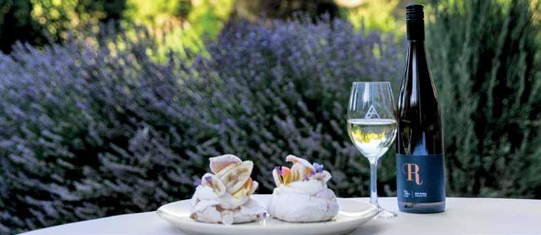 For our latest offers visit... WINE REGIONS ACCOMMODATION South Australia is famous for their International standard wine and with over 200 cellar doors, there s something for everyone s tastebud.