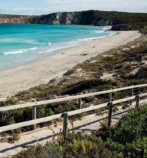 KANGAROO ISLAND FACTS, MAP & TOURS KANGAROO ISLAND Accessible by a short ferry ride from Cape Jervis or a flight from Adelaide, Kangaroo Island is famous for being home to its beautiful untouched