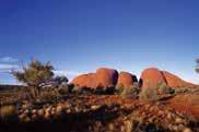 2 nights accommodation in a Standard Room at Voyages Outback Pioneer Return transfers from Ayers Rock Airport 2 day Uluru Highlights tour Uluru barbecue dinner A Night at