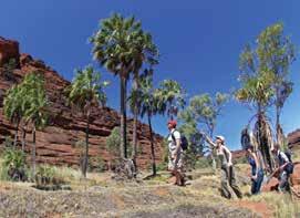 drink Return transfers from Alice Springs accommodation Operator: Alice Wanderer Sightseeing Departs: Daily from Alice Springs at 8am Returns: 5:30pm B U Y BUY NOW - BOOK LATER N O W L AT E R - B O O