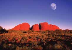 Take a guided coach tour of the base of Uluru while your guide will share cultural stories of the Anangu people. Visit the Cultural Centre to learn about the Tjukurpa (law) of the Anangu people.