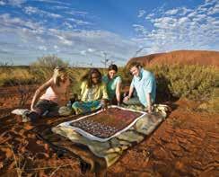 9 hour guided tour Local Indigenous guide Experienced driver/guide Maximum 11 passengers Aboriginal land permit and entry fee Morning tea Barbecue Lunch Return transfers from Ayers Rock Resort