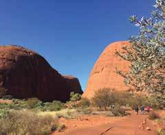 BUY NOW - BOOK LATER The Red Centre ULURU SIGHTSEEING B U Y BUY NOW - BOOK LATER N O W L AT E R - B O O K B U Y BUY NOW - BOOK LATER N O W L AT E R - B O O K B U Y BUY NOW - BOOK LATER N O W L AT E R