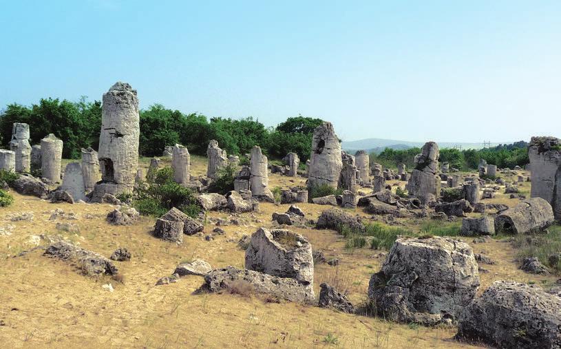 Pobiti Kamani Pobiti Kamani (Standing Stones) are rock formations near Varna located about 18-20 km west of the town, by the road to Sofia.