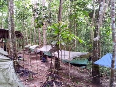 After about 4 hours of trekking we reach our jungle camp.