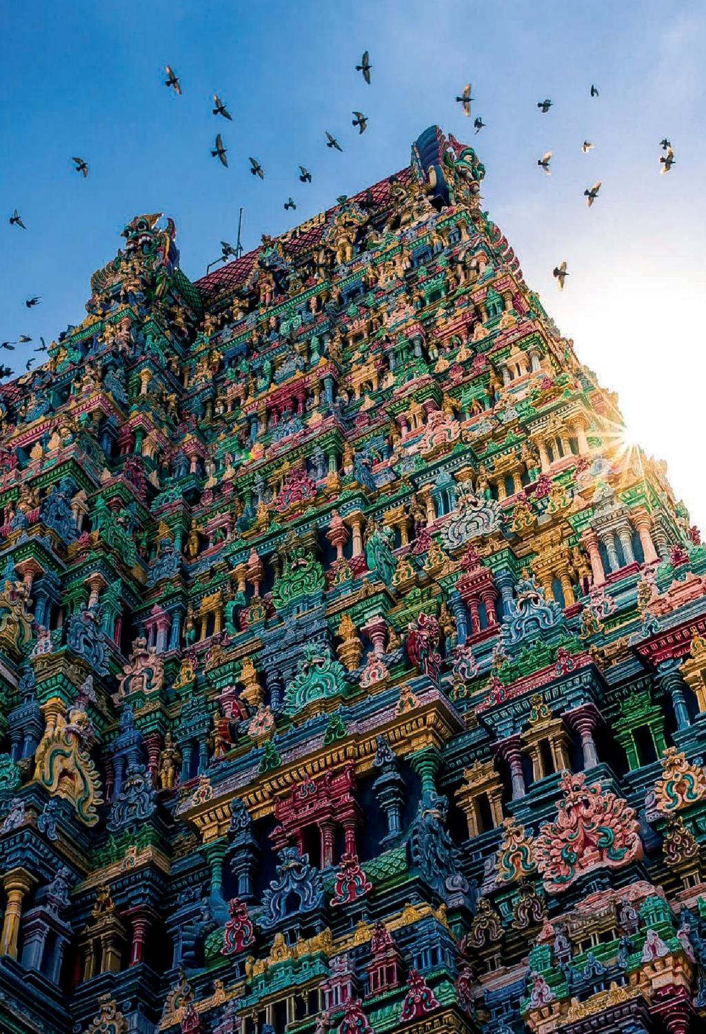 A journey across colourful landscapes, the trip includes a little bit of everything, from intricately carved temple complexes to lush jungle backwaters and historic harbour ports.