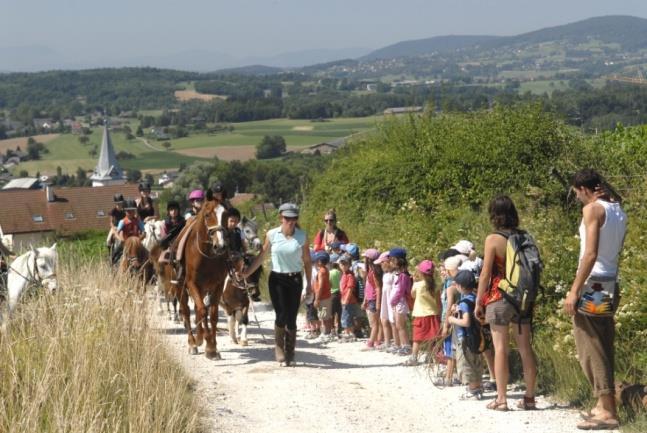 E. MINODIER 1st European equestrian route Analysis: - aspiration to practise leisure