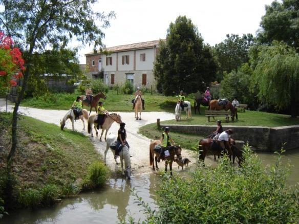 CRTE Poitou-Charentes CDT Doubs Economic impact Targets for Equestrian activities 1 million people practising the activity in France 53% of French