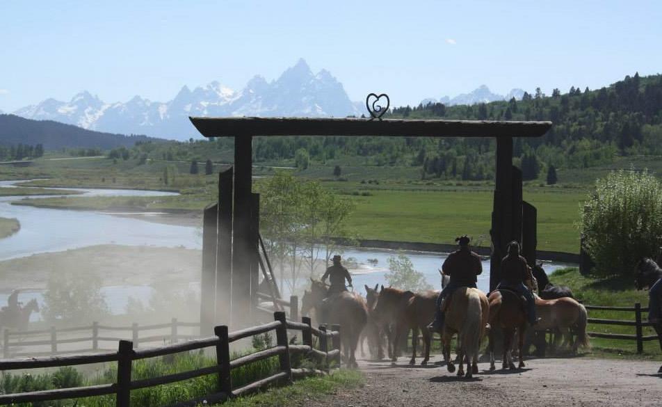 Other options allow you to catch the spirit of the Rocky Mountain West on a horseback ride through the more distant wilderness. Kindly note, pricing varies between vendors.