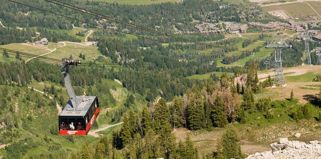In early summer, the tram provides perhaps the easiest access to view Jackson Hole s wildflowers and provides a birds eye view of the mountains.