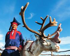 Duration: 2h 30min. Reindeer Sledding and Sámi Culture Tromsø Lapland, Tromsø Immerse yourself in indigenous Arctic culture with a real Sámi guide.