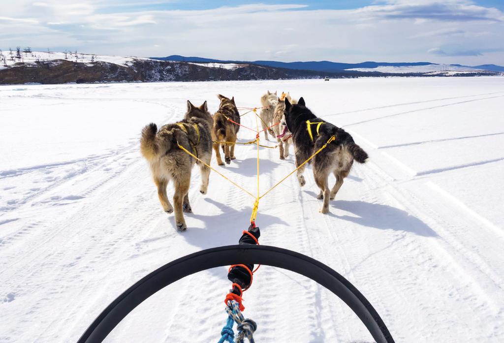 KIRKENES EXCURSIONS These are exclusive to: Arctic Wonders