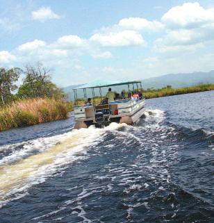 Safari down the Black River and see the crocodiles that call its banks home, then travel to