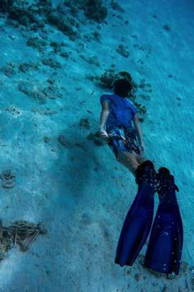 Helping Endangered Corals in Little Cayman Dr.