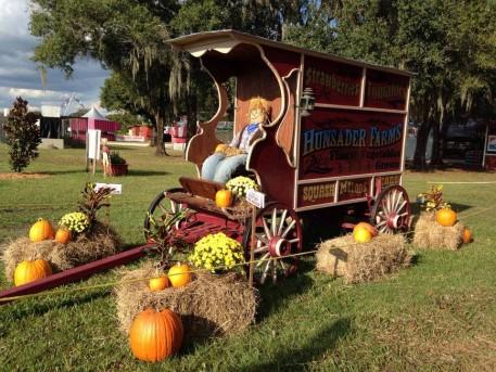 Lots of Halloween decorations for sale, too, from scarecrows to hay bales. Food available for purchase. 10 a.m. - 5 p.m. Free admission and parking. East of I-75 off exit 210, on the right.