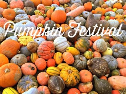 Hunsader Farms Pumpkin Festival October 14th, 15th, 21st, 22nd, 28th & 29th: : Get into the 26th Annual Hunsader Farms Pumpkin Festival featuring fun for all including craft booths, live music,