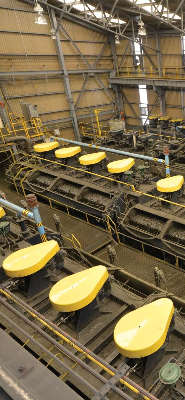 MINING DIVISION ANNUAL REPORT 2015 36 37 BYPRODUCTS At AMC, molybdenum production in 2015 Flotation process at the molybdenum plant in BVC, Sonora.