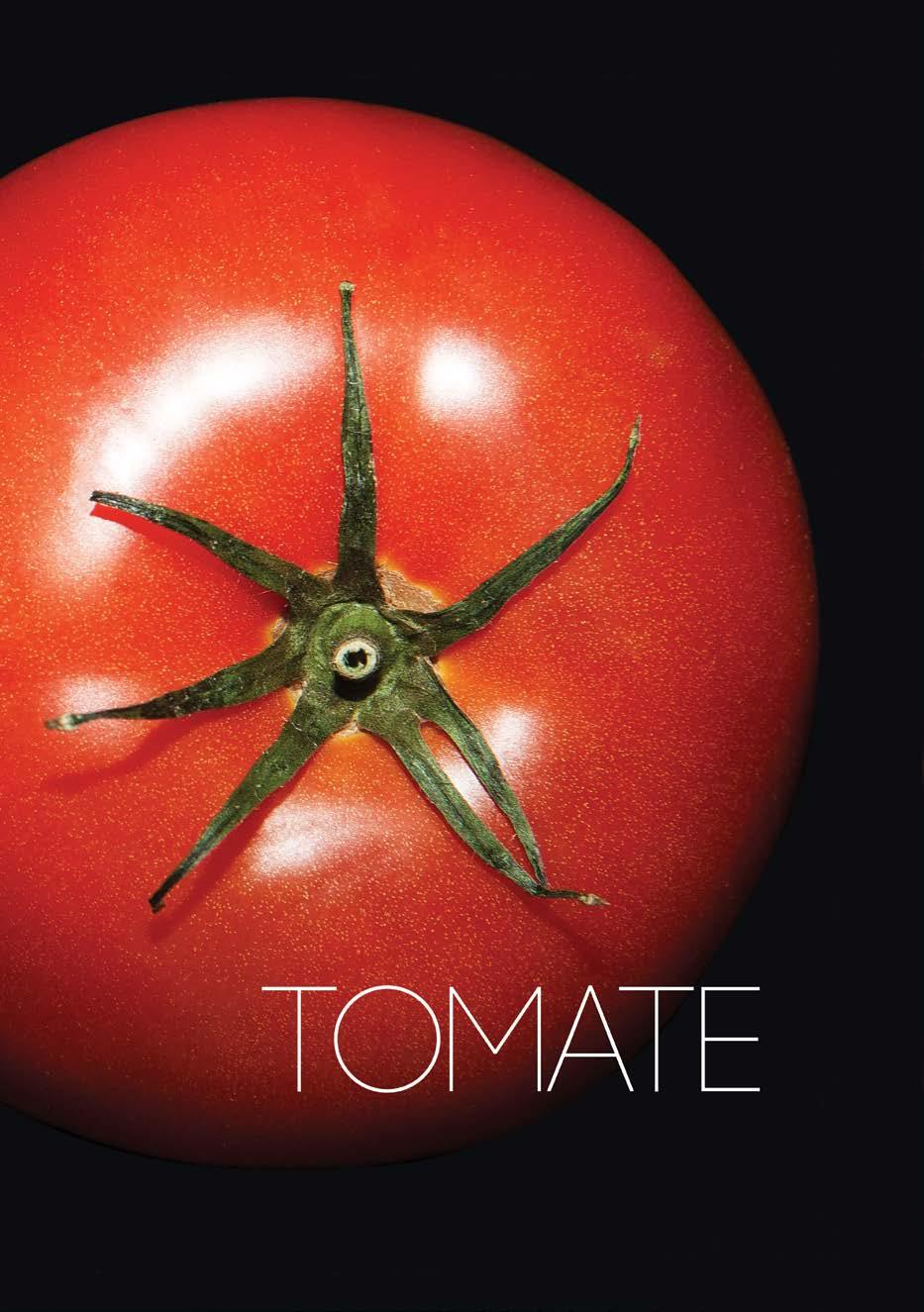 DIVISIÓN ANNUAL REPORT 2015 94 95 The book Tomate had the collaboration of a foreign chef, holder of 2 Michelin stars.